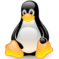 WSL2 Setup and Customization Guide